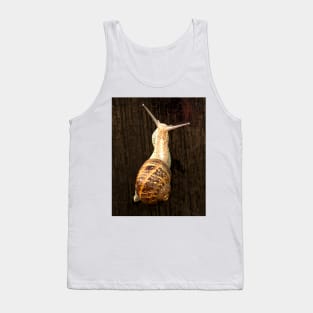 ibs snail Tank Top